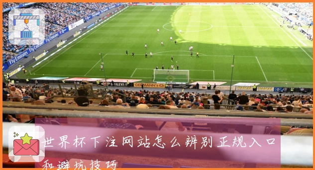 世界杯下注网站怎么辨别正规入口和避坑技巧