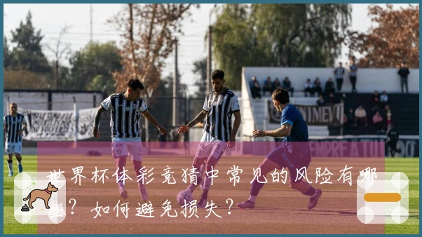 世界杯体彩竞猜中常见的风险有哪些？如何避免损失？