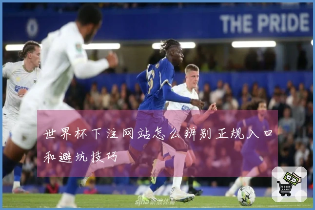 世界杯下注网站怎么辨别正规入口和避坑技巧