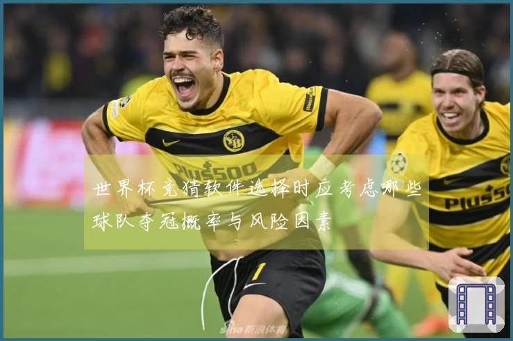 世界杯竞猜软件选择时应考虑哪些球队夺冠概率与风险因素